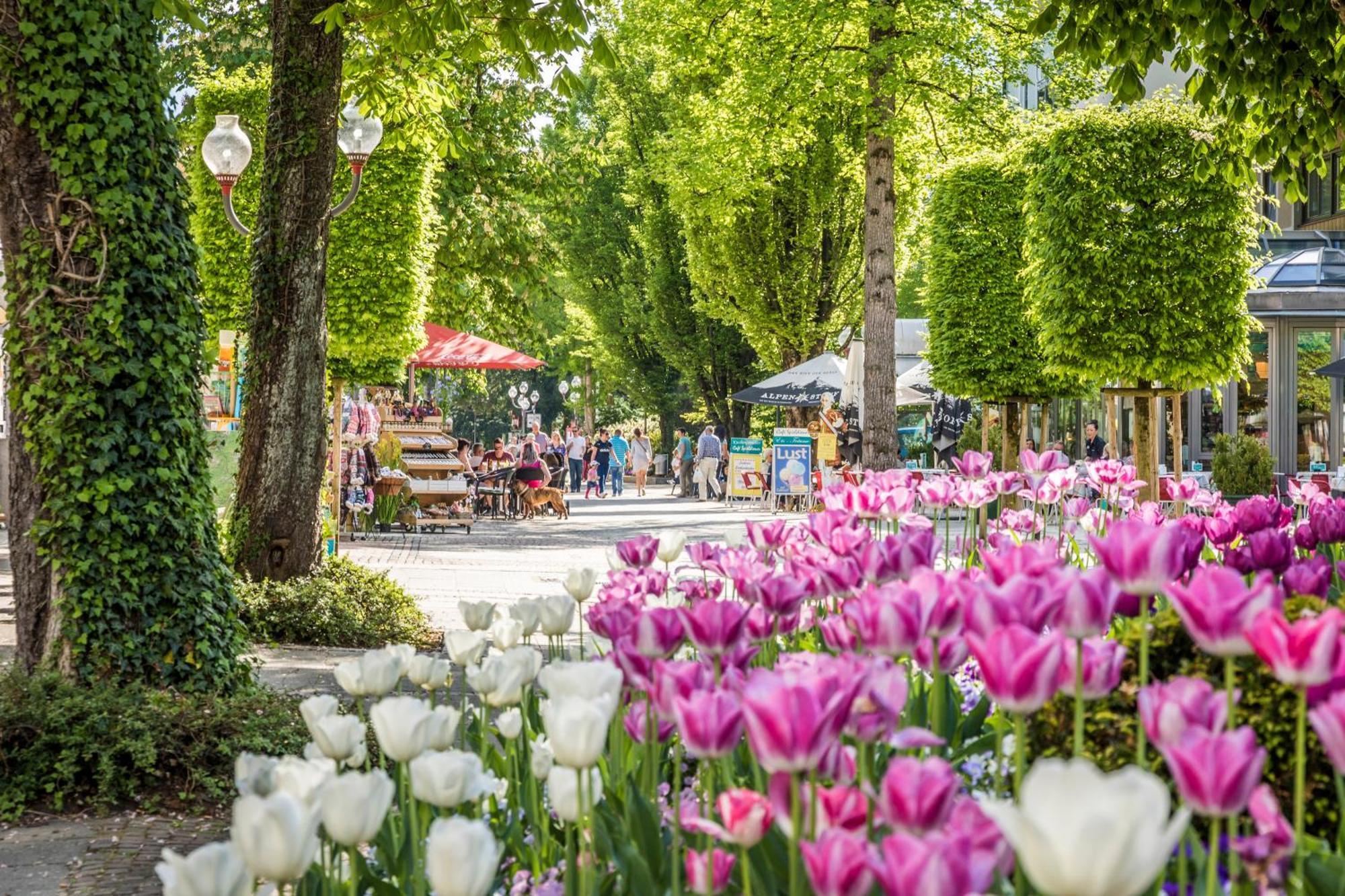 Villa Rein Boutiquehotel Bad Reichenhall Exteriör bild